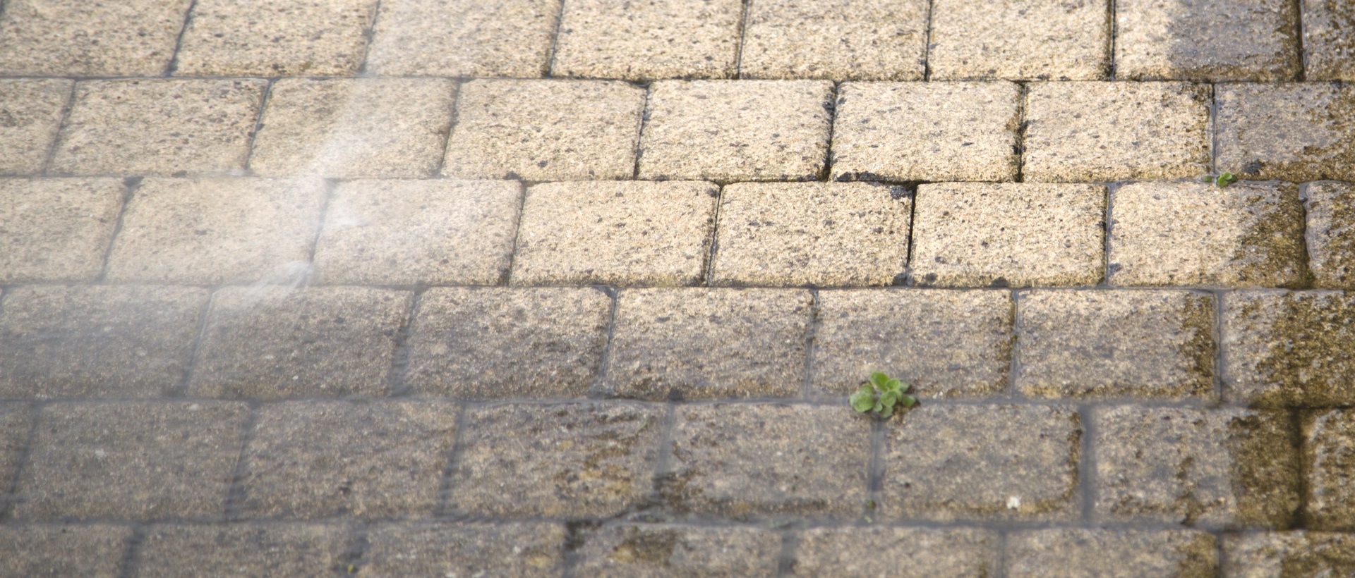 flagging and patios N8