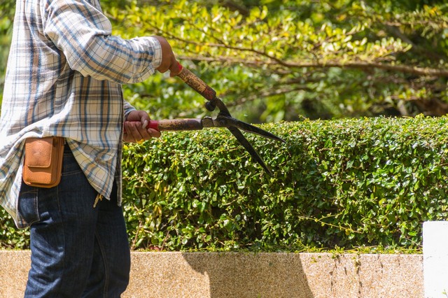 Garden Maintenance Crouch End, N8